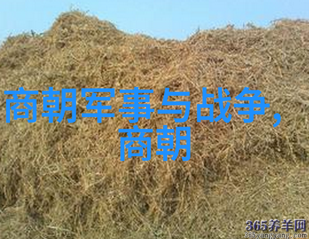 明朝风云录卓越官员的辉煌篇章
