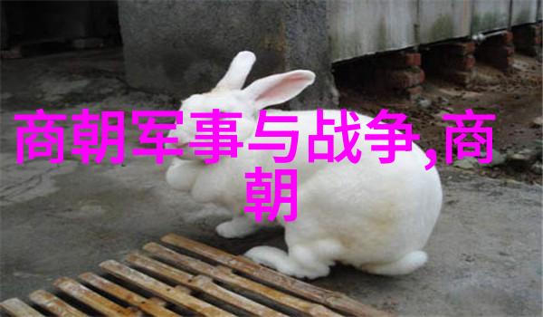 蒙古帝国的建立与扩张从成吉思汗到元朝的巅峰