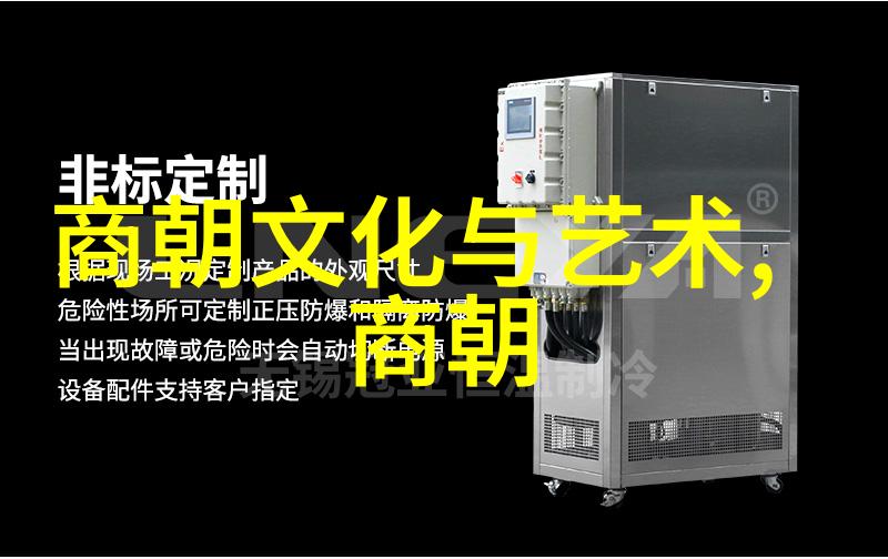 盛世华章明朝的繁华之光