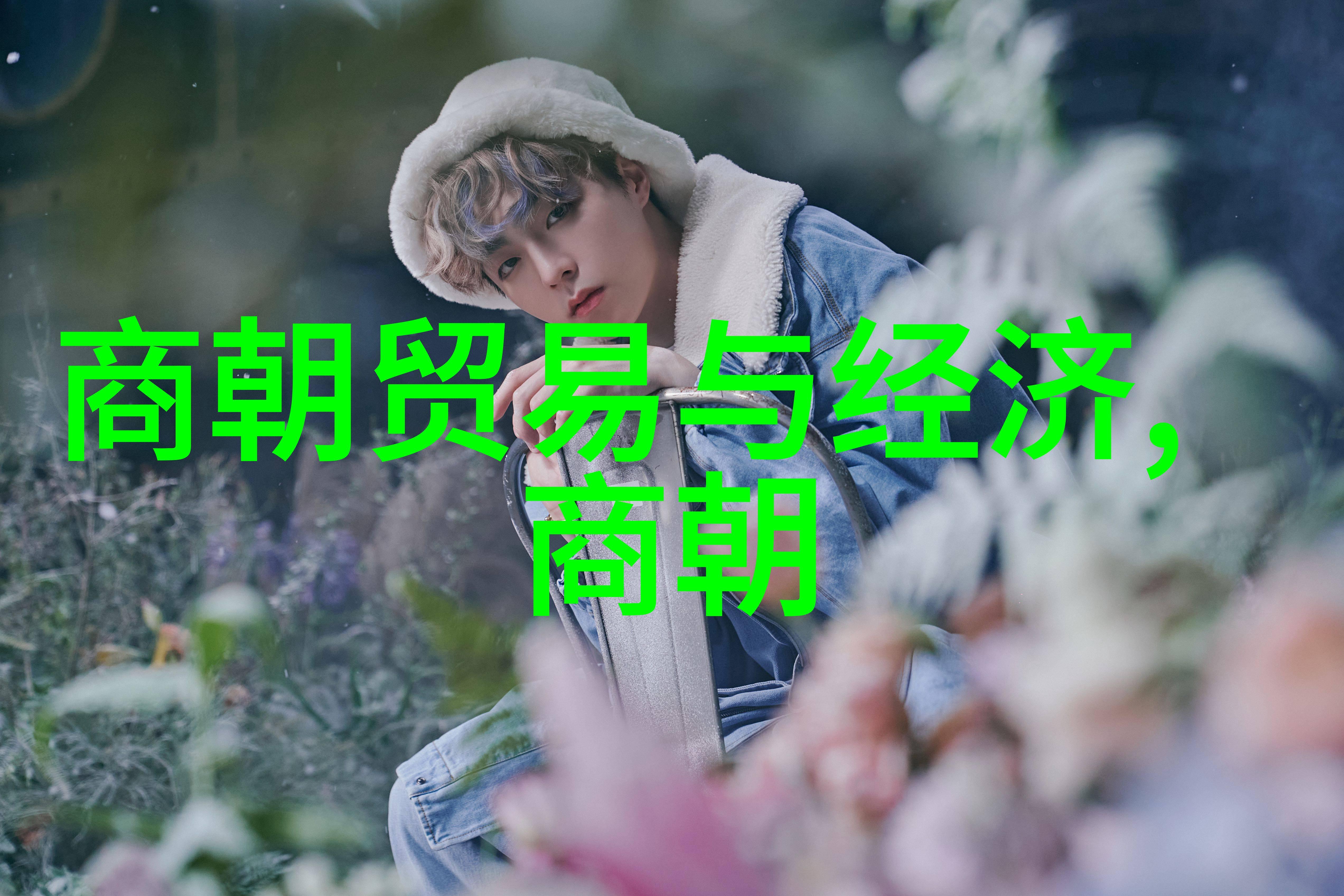 明朝那些事儿揭秘历史的深渊