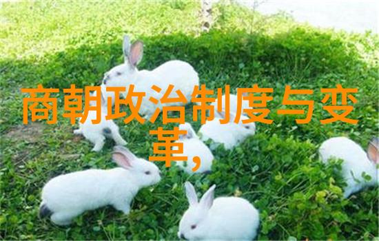 探秘古国五千年前中国的称呼与文明