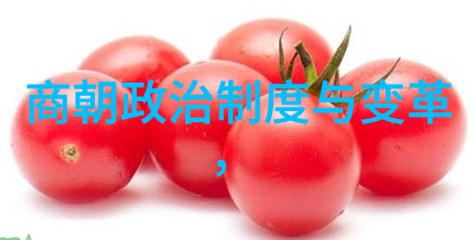 宋朝历史上的五大转折从北宋南迁到金元交锋