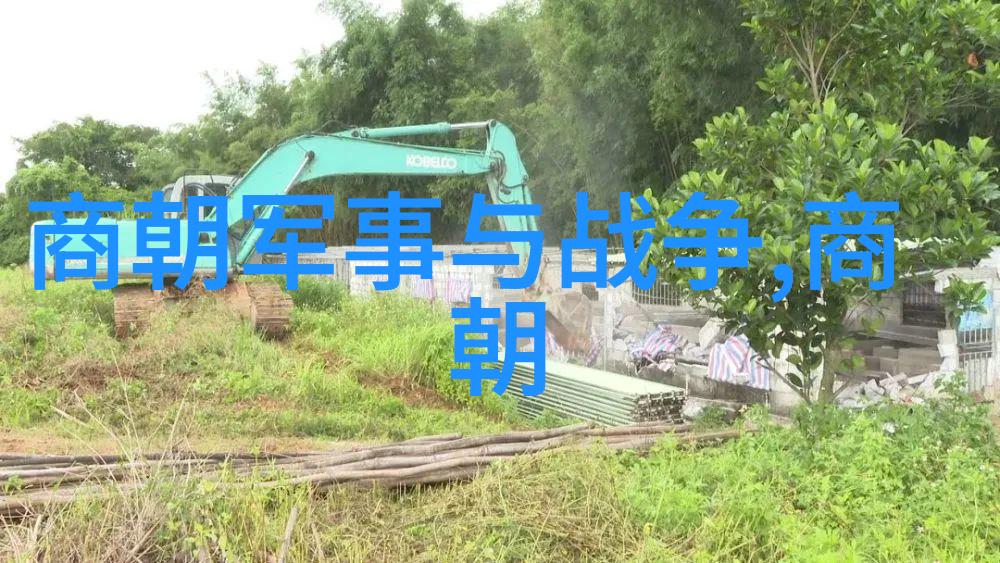中国历史朝代排行咱们来聊聊那些年里的帝王们