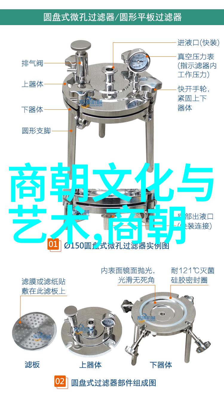 正史中忽略了辽金的原因是什么