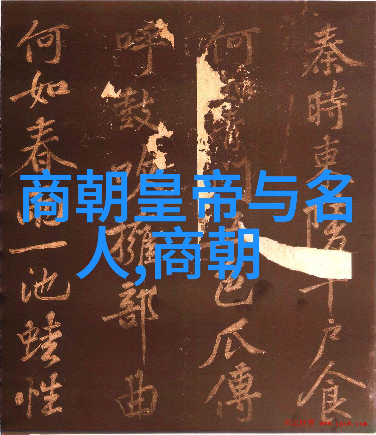 凸凸凹BBWBBWBBWBBW我是如何在街头发现一场奇幻音乐会的