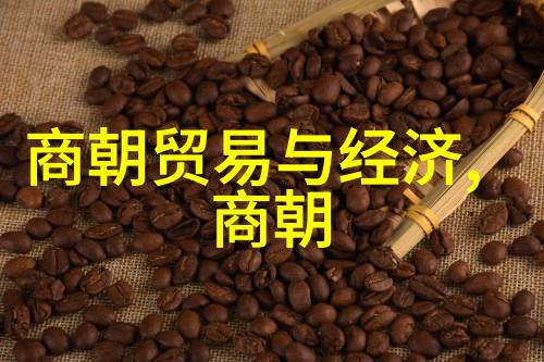 努尔哈赤与清朝的兴衰东北王国的征途与中原梦想