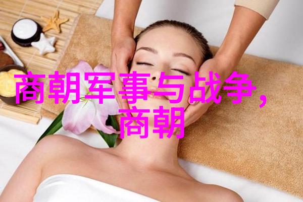 历史的迷雾明未四大奇案揭秘