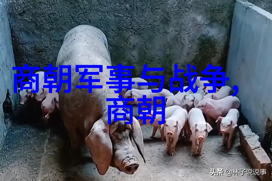 李洪海六品堂书法大师加盟热潮