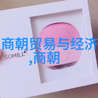 土木堡之变对中国历史的深远影响中国历史发展战略转折点