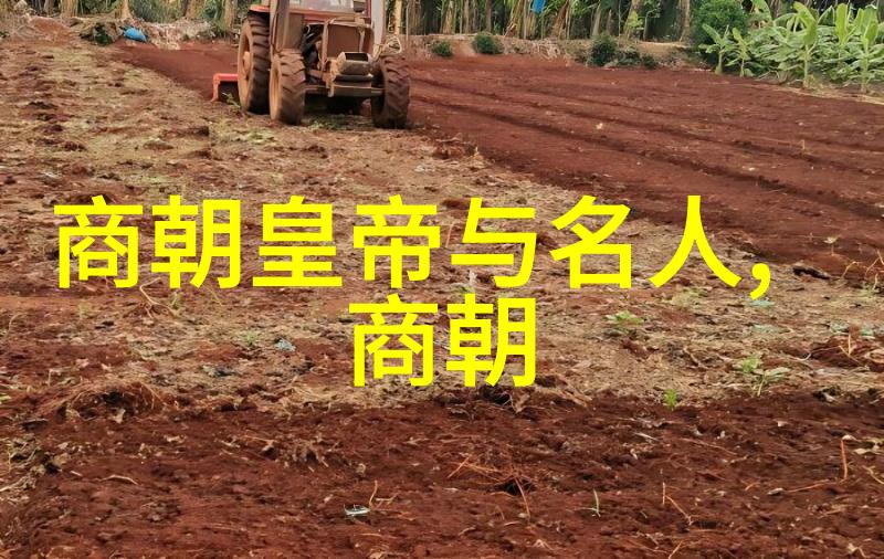 建文革与靖难明朝初年的权力斗争