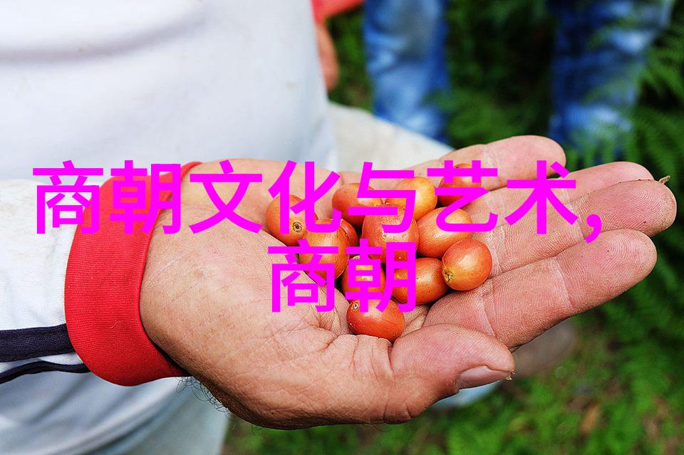 明成祖朱棣北征的原因是什么