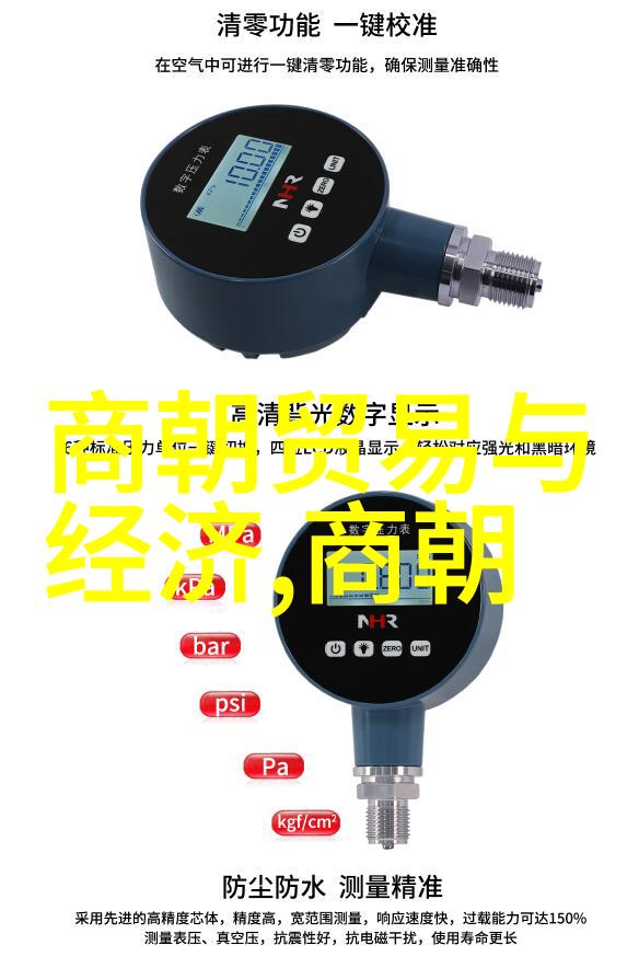朱棣篡位与南京大屠杀明朝历史上的权力斗争与残酷镇压