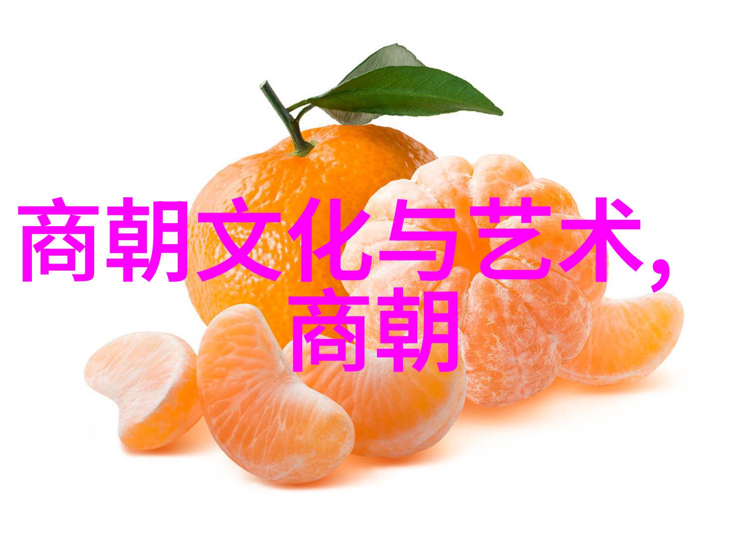 南明时期皇权衰落的征兆及其对中国历史的影响