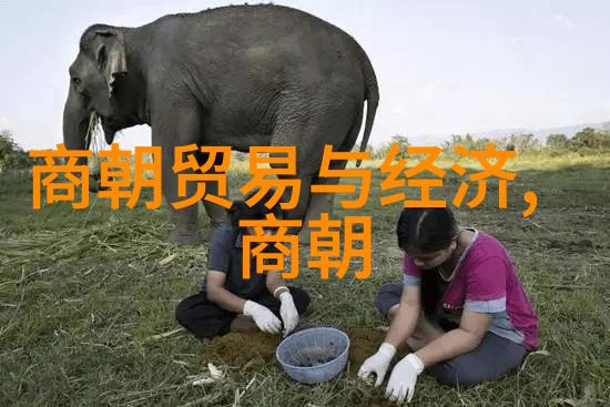 明末清初四大冤案背后的历史真相与社会反思