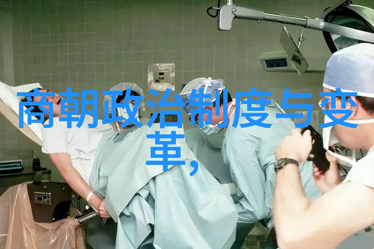 元明朝历史简介聊聊我国古代的辉煌与变迁