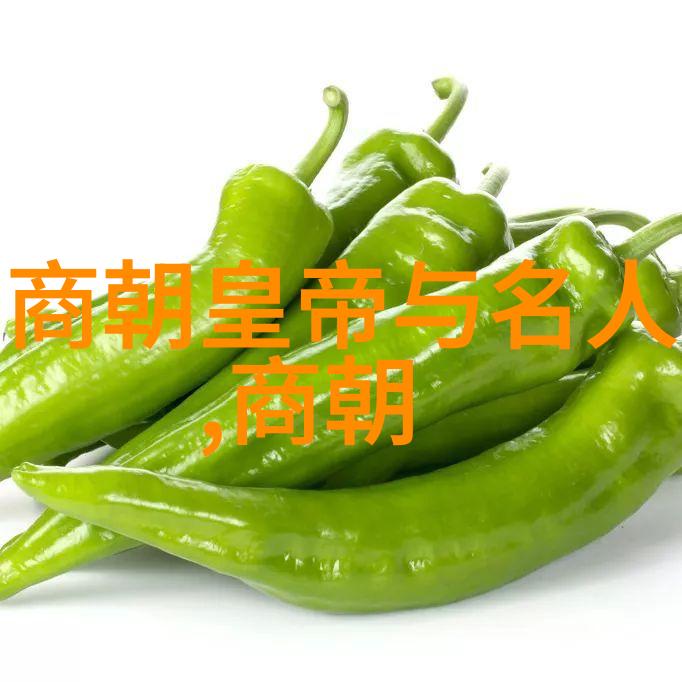 吕祖剑仙派传人张高元道长在白石龙中国文化名人大营救纪念馆中展现社会正义