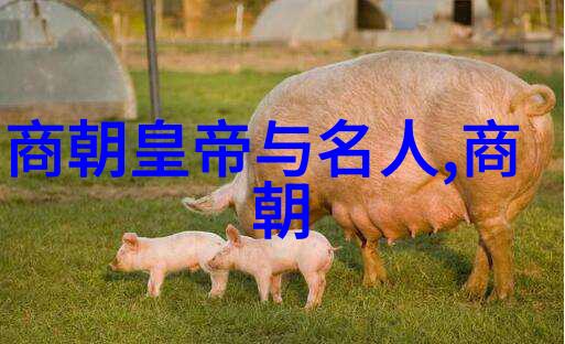 明朝那些事儿简介内容我和明朝的故事从朱元璋到崇祯的兴衰