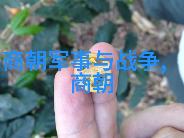 明朝十大著名战争明朝军事战役历史