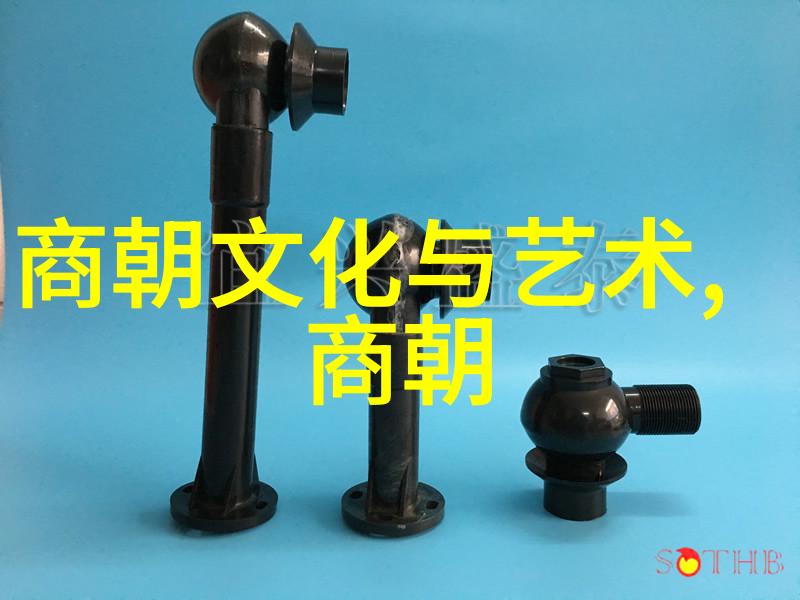 神奇的医药明朝草药治疗奇效记