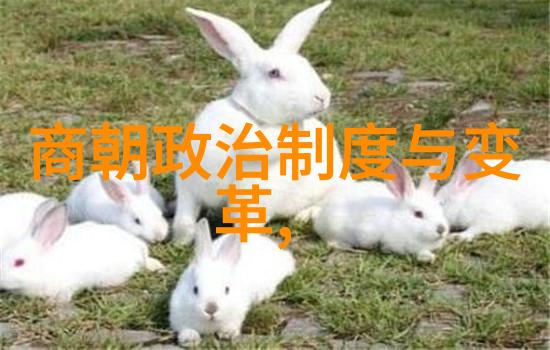 明朝大人物名单从朱元璋到崇祯笑看历史的荒唐