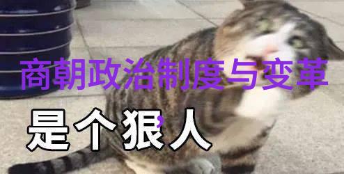 北周与隋朝两代霸主的辉煌与变迁