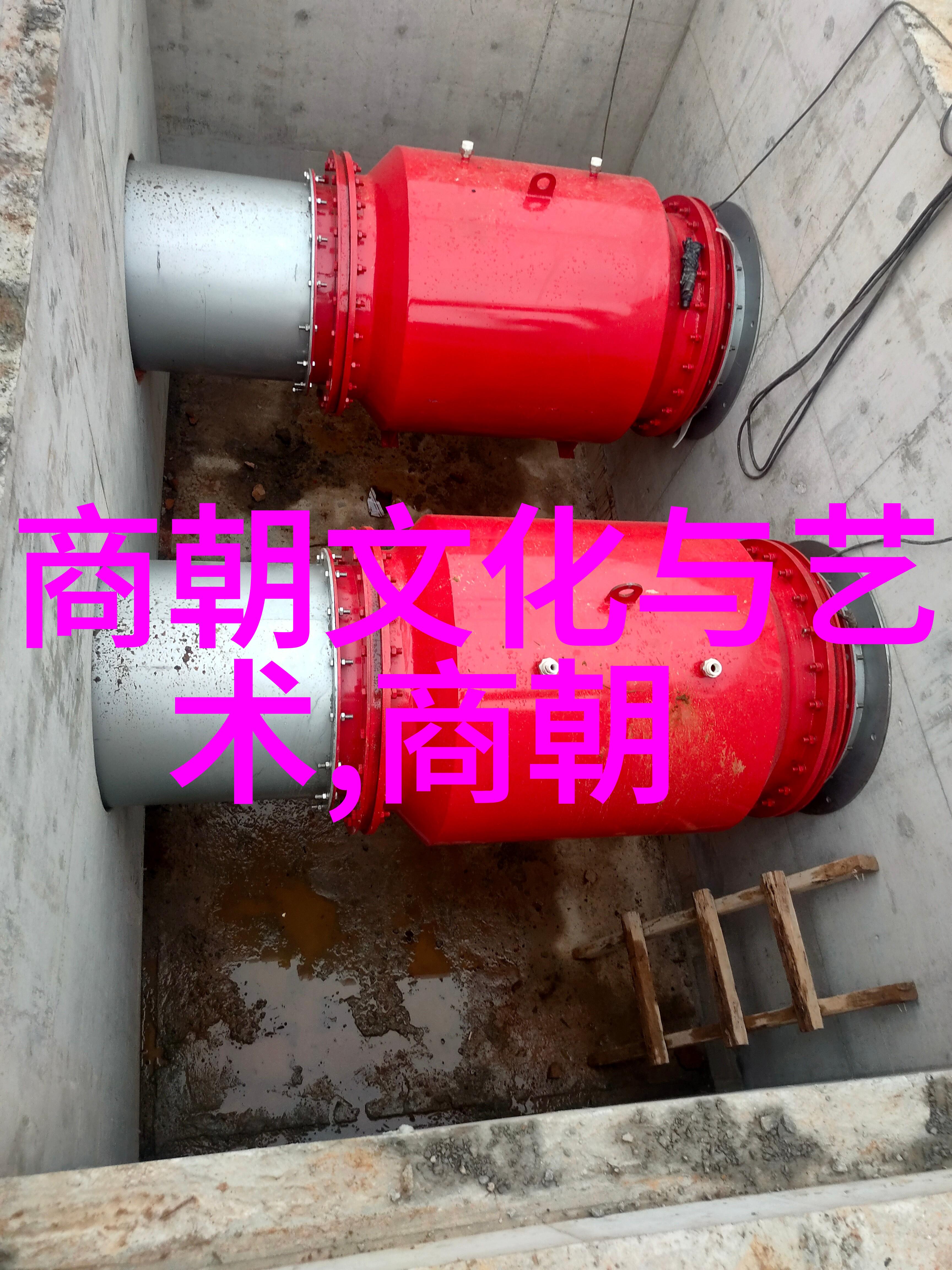 朱棣登基后的铁腕统治朱棣的残酷统治手段