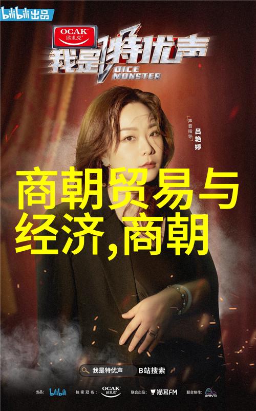 宋朝秘录一览表后的迷雾