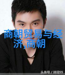 穿越时空的秘密图书馆明朝那些事隐藏了多少未解之谜
