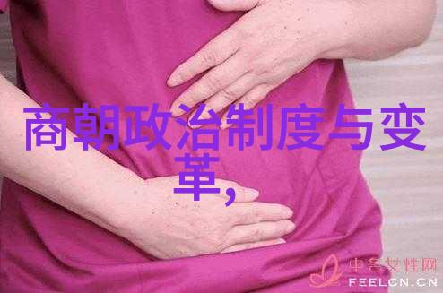 明末各藩王与中央政府之间存在着怎样的权力斗争