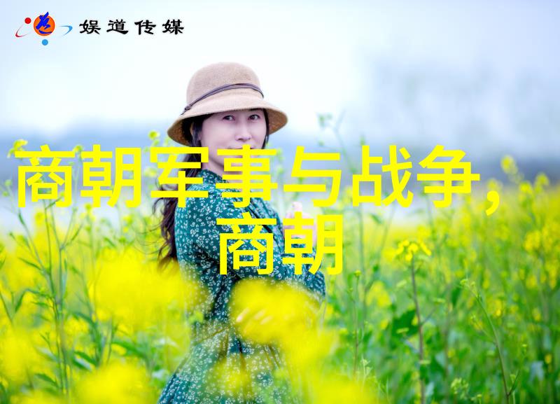 杨基南北朝之谜