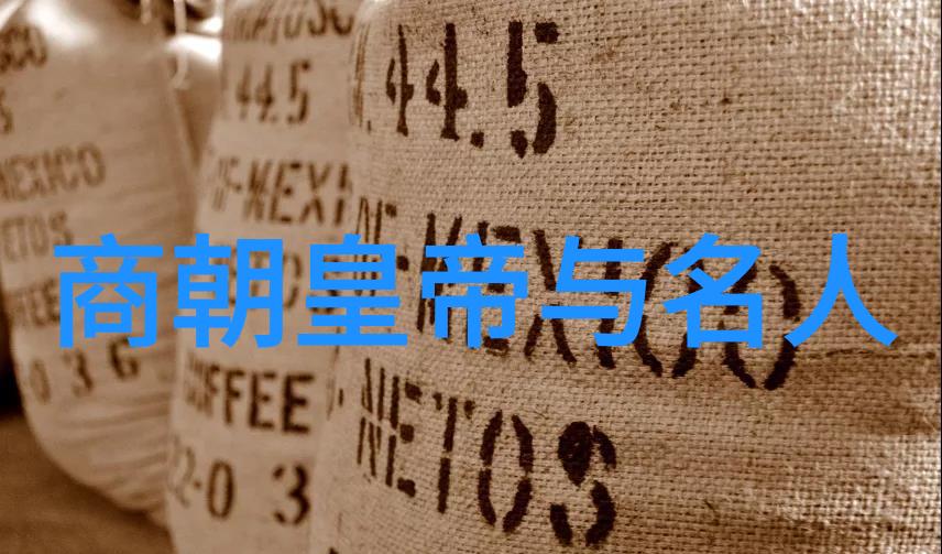 隋朝皇帝与名人的文化交流促进了中外关系推动了社会进步