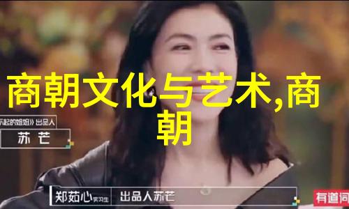 灭贼保国岳飞死后靖康之耻的背离