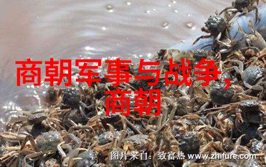 生育文化与控制手段探索明代人口稳定策略