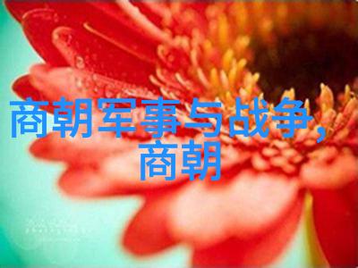 元代历史背景简介一朝天子我是如何了解元代的