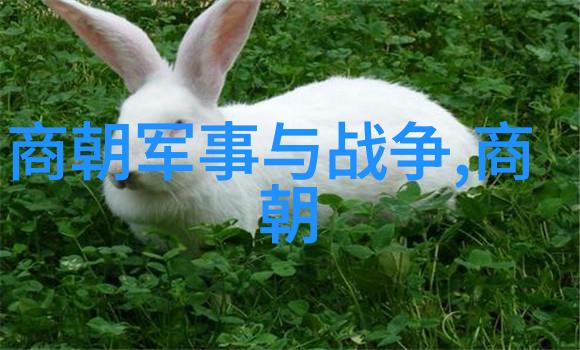 元朝历史典故简短从辉煌到衰败的反差篇