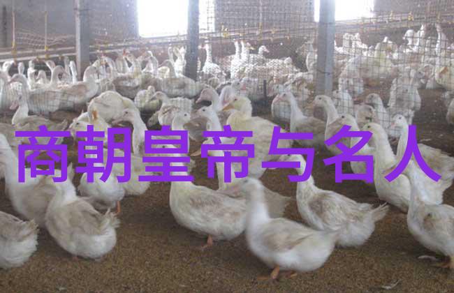 唐朝工科生-铁匠木匠与算盘唐代工艺技术的传承与创新