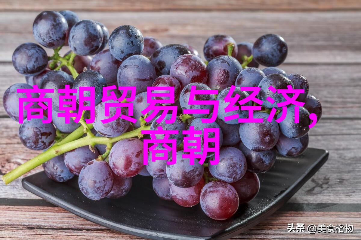 明朝十六帝明朝的六位伟大皇帝