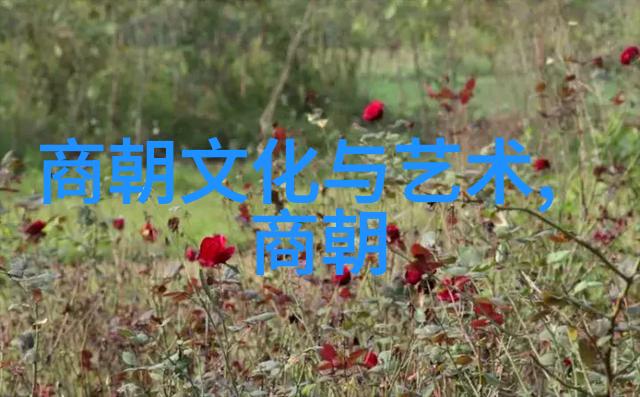 明朝历史解说聊聊我看的那些奇妙事儿