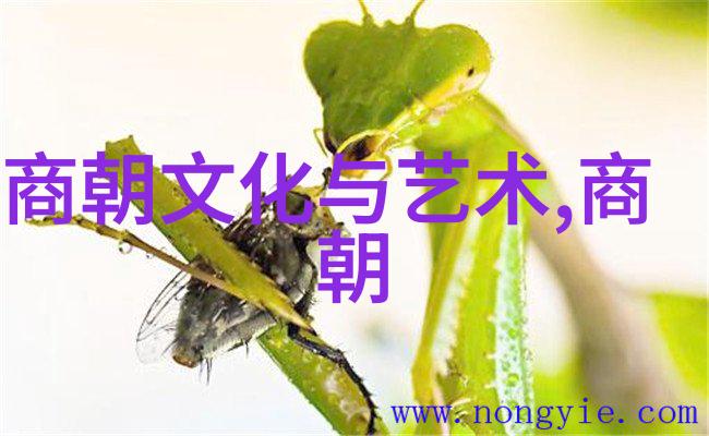 小学教科研工作计划胡志远引领精准肿瘤防治科技激发成果转化火花