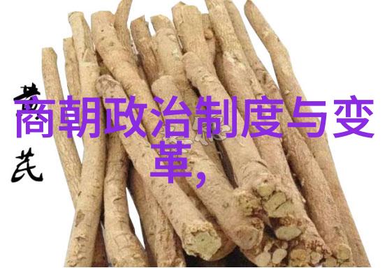 明朝那些事儿免费追溯历史王先生的更新之旅