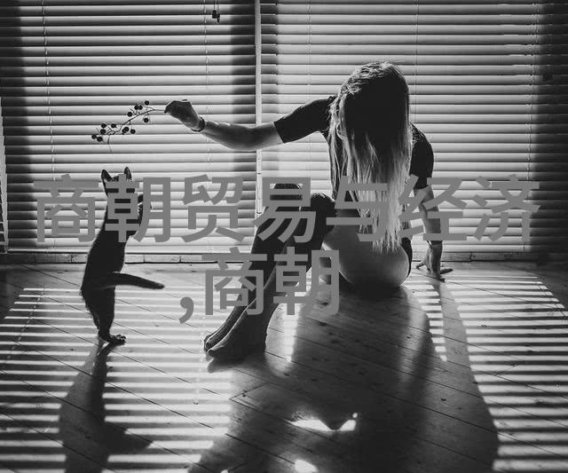 岳飞一生忠诚他死后为何国运不济