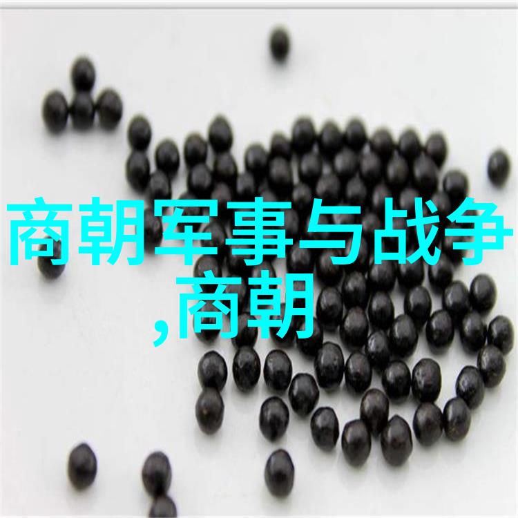 从黄帝开国到火星人探访中国历史的前世今生大冒险