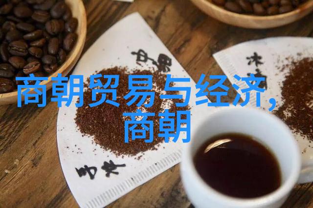 历代帝王的足迹从汉到清的皇权轮回