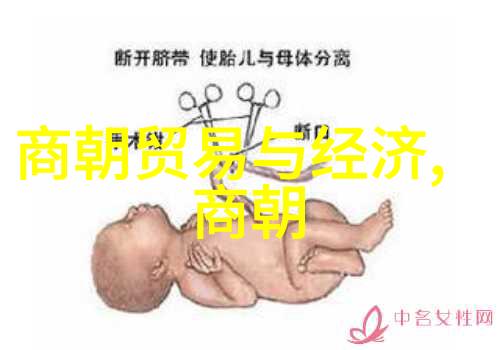 土木堡之变宫女艺术与历史的交响