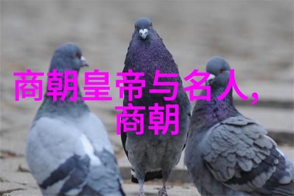野史讲述历史上的秘密故事和未经官方认可的真实事件