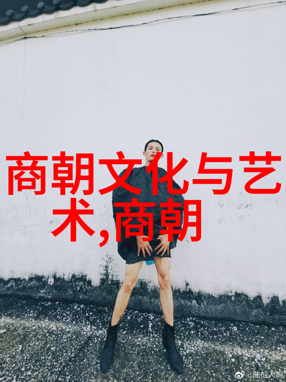 明朝简介-紫禁城的辉煌明朝简要历史与文化