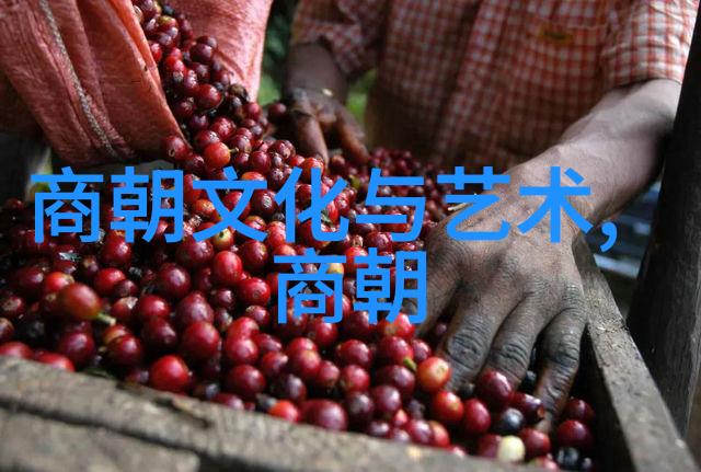 明朝那些事儿锦绣江山下的隐逸智慧