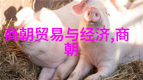 河南豫剧电视剧大全中的豫剧丑行演员葛桂璋