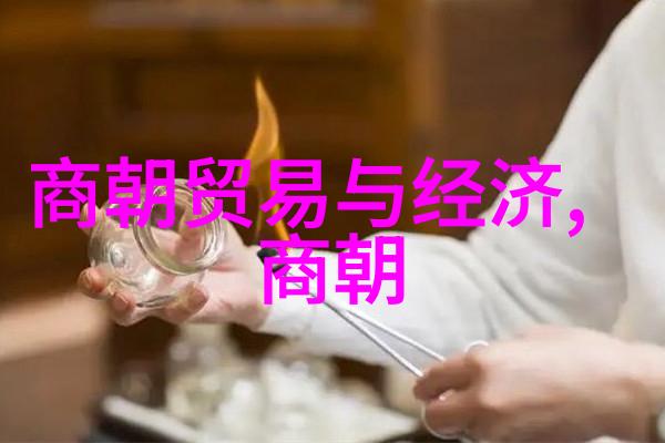 历史朝代顺序表口诀-记忆穿越千年解析古代王朝的口传秘笈