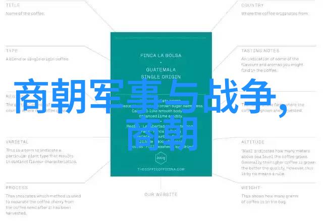 张作霖的军事梦想与泪水共鸣